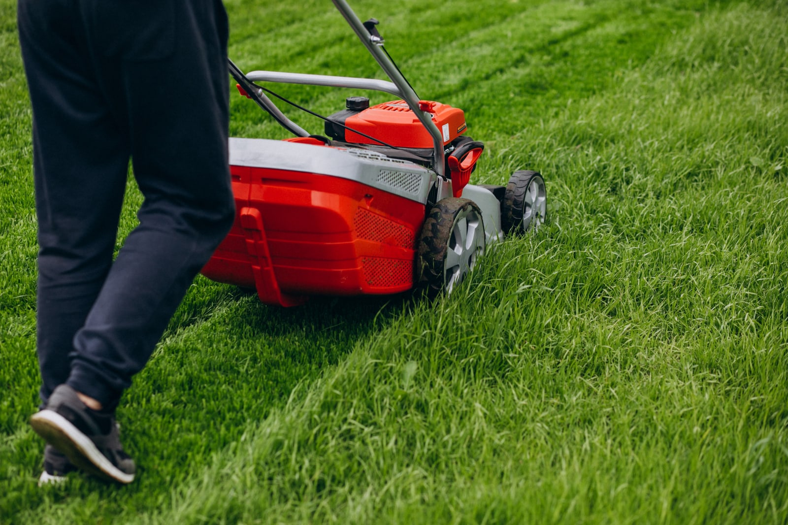 Freshly mowed Panama City lawn with clean, straight mower lines